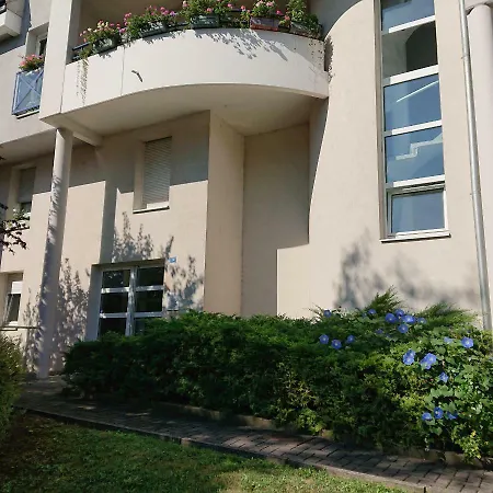 Appart Proche Centre Strasbourg Terrasse 40m2 Séjour chez l'habitant