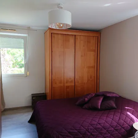 Séjour chez l'habitant Appart Proche Centre Strasbourg Terrasse 40m2 *