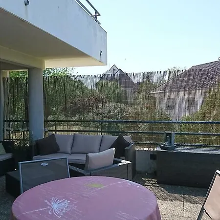 Appart Proche Centre Strasbourg Terrasse 40m2 Séjour chez l'habitant
